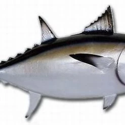 Art Mount This Fish Mount 32 Art Mount This Fish Mount