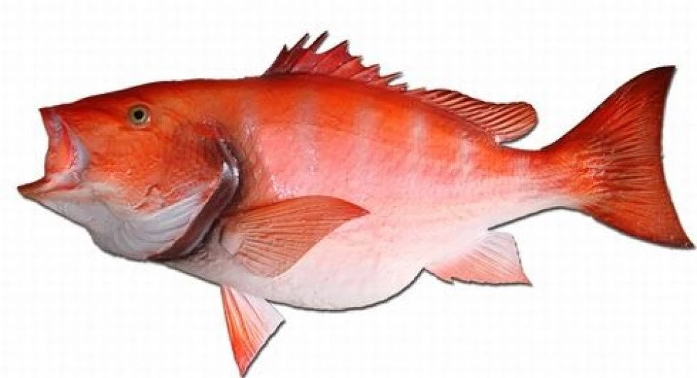 Art Mount This Fish Mount 11 Art Mount This Fish Mount