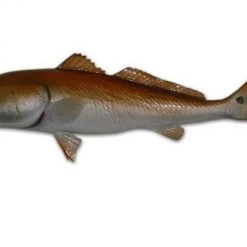 Art Mount This Fish Mount