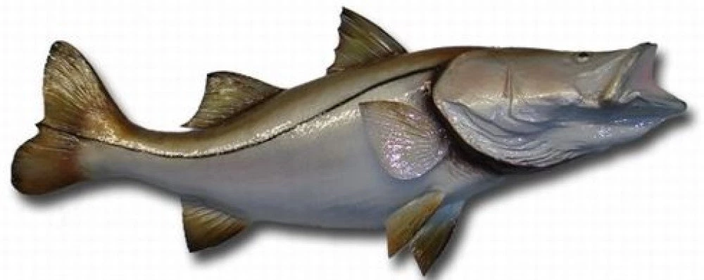 Art Mount This Fish Mount 12 Art Mount This Fish Mount