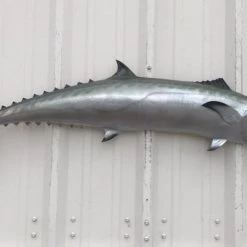 Art Mount This Fish Mount 26 Art Mount This Fish Mount