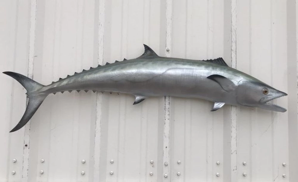 Art Mount This Fish Mount 8 Art Mount This Fish Mount