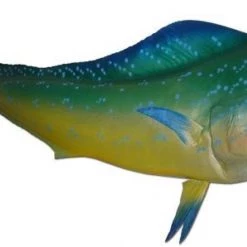 Art Mount This Fish Mount 35 Art Mount This Fish Mount