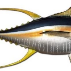 Art Mount This Fish Mount 33 Art Mount This Fish Mount