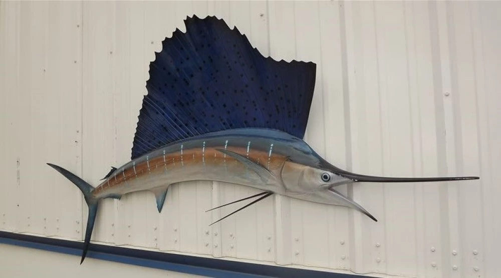 Art Mount This Fish Mount 5 Art Mount This Fish Mount