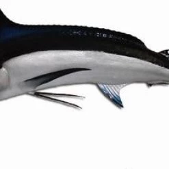 Art Mount This Fish Mount