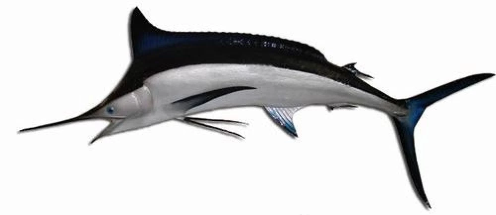 Art Mount This Fish Mount 3 Art Mount This Fish Mount