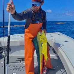 Reels Daiwa BG Spinning Reel