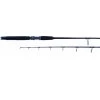 Billfisher SW Spinning Rod Rods