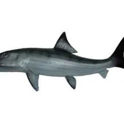 Art Mount This Fish Mount 38 Art Mount This Fish Mount