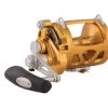 Penn International VISW Conventional Reel