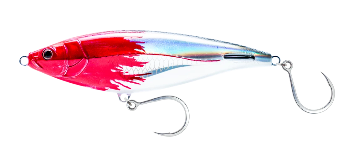 Nomad Madscad 150 Sinking Lure 6" Lures 4 Nomad Madscad 150 Sinking Lure 6" Lures