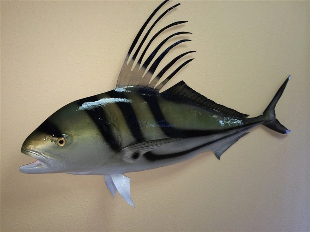 Art Mount This Fish Mount 21 Art Mount This Fish Mount
