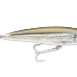 Rapala X-Rap Saltwater 10