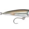 Rapala X-Rap Saltwater SubWalk 07