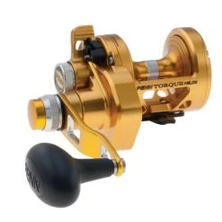 PENN Torque Lever Drag 2 Speed Reel Reels