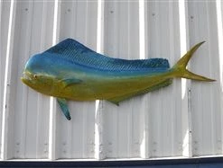 Art Mount This Fish Mount 36 Art Mount This Fish Mount